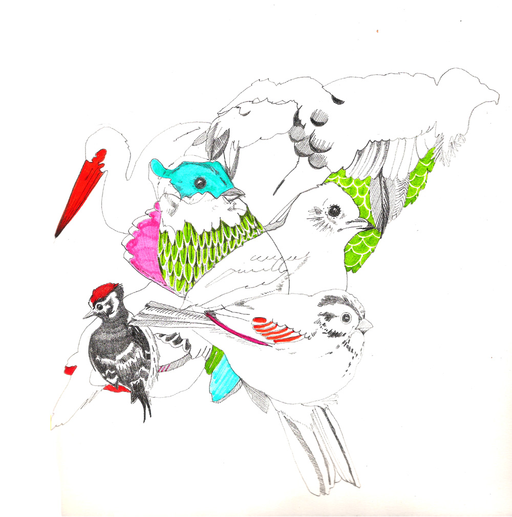 - ZoZiothérapy- page 55