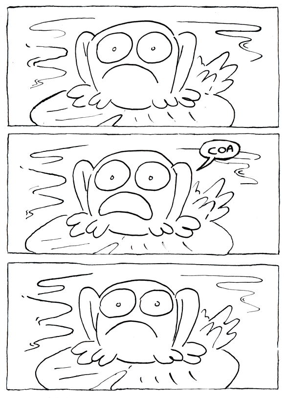 - Le grenouille- page 3