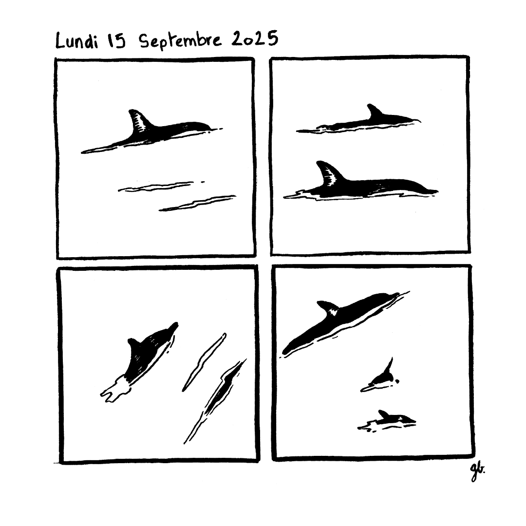 - Journal de Borde - Septembre 2025- page 15