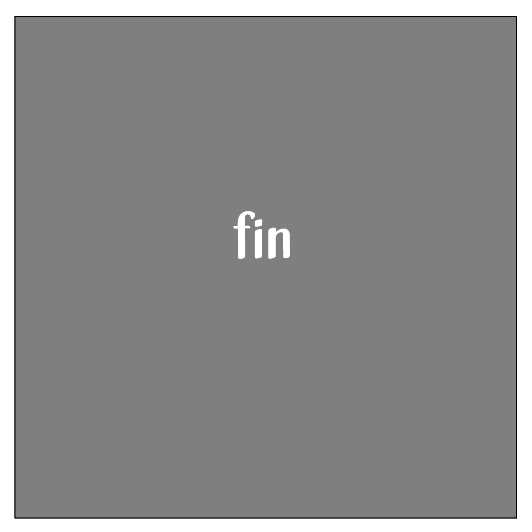 - Joe l'hélico- page 24