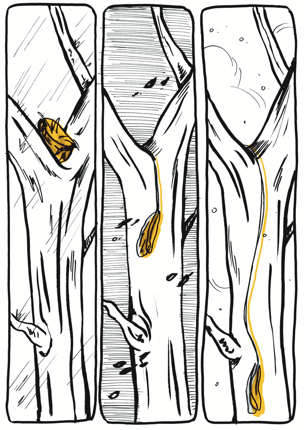 - Faden verloren- page 7