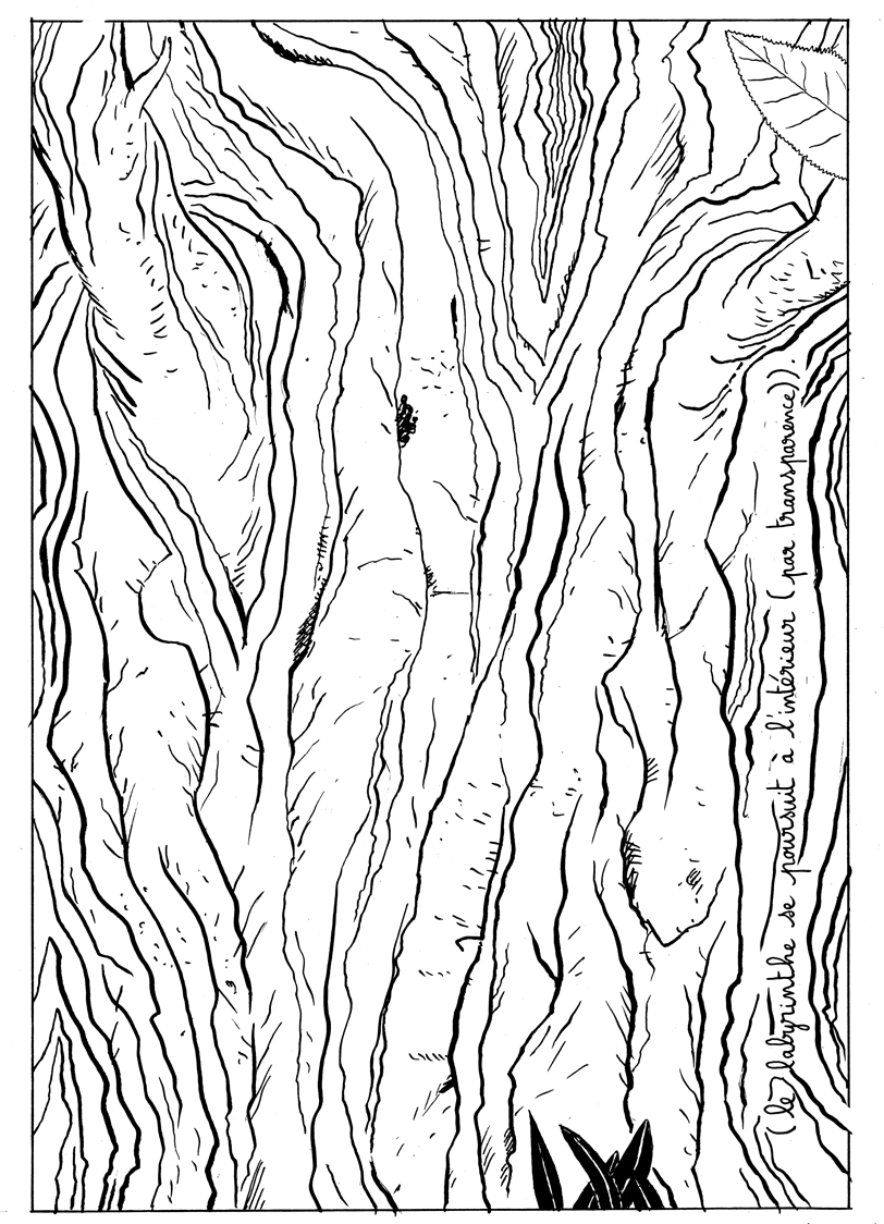 - debout à Zanzibar- page 4