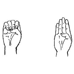 logo Sébastien Conard