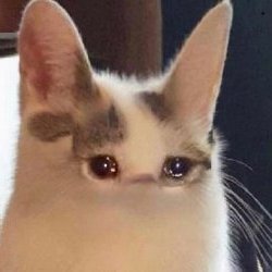 logo  Bastien-Christophe