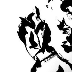 logo Hershel Lemarach