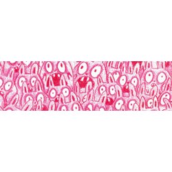 logo Gaëlle Almeras