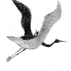 logo Dominique Bierge