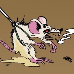 logo  _littlephantom_