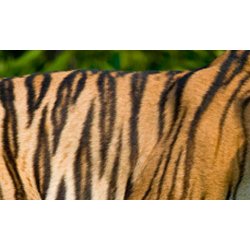 logo Matthias Malingrëy