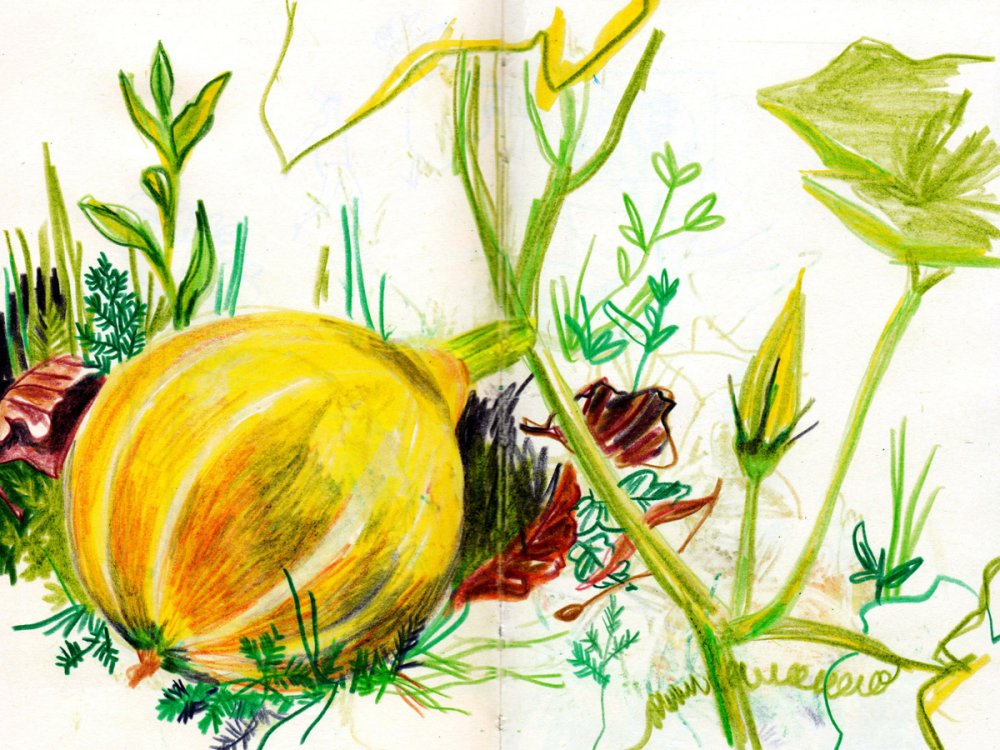 Louise Plantin - A6page 1