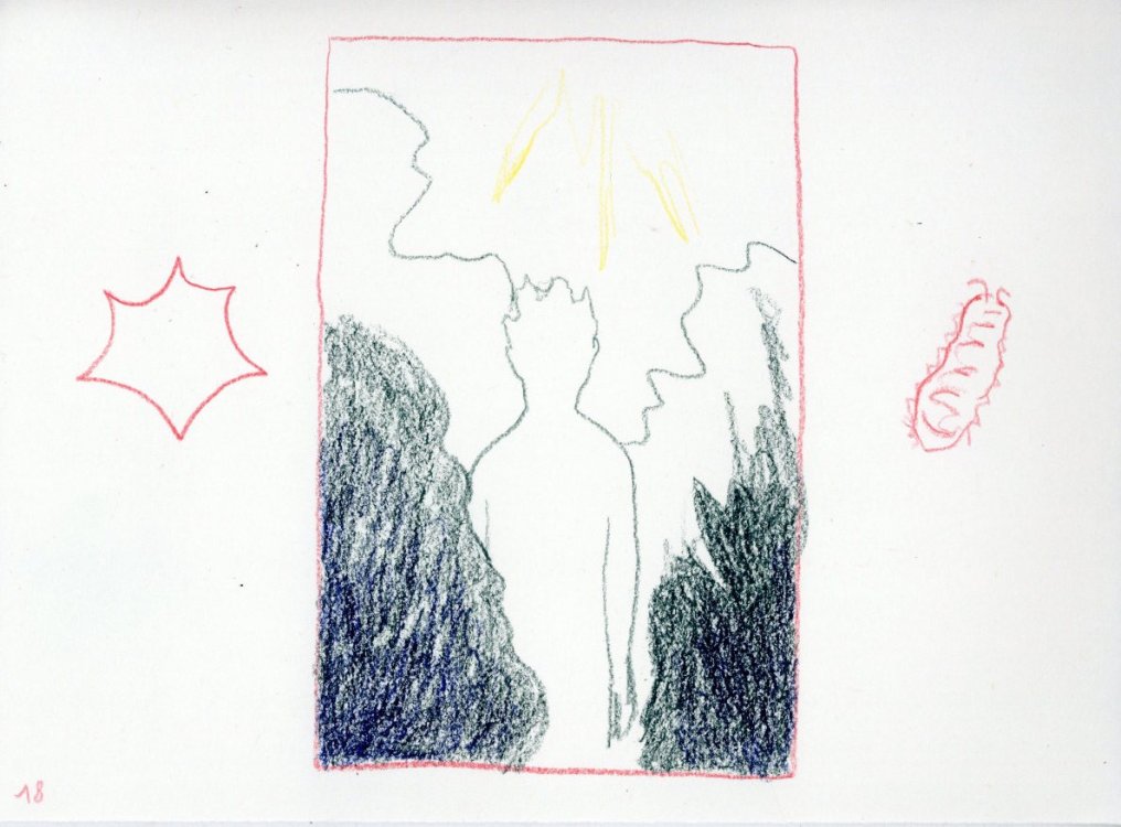  Silicium - Little forest guypage 19