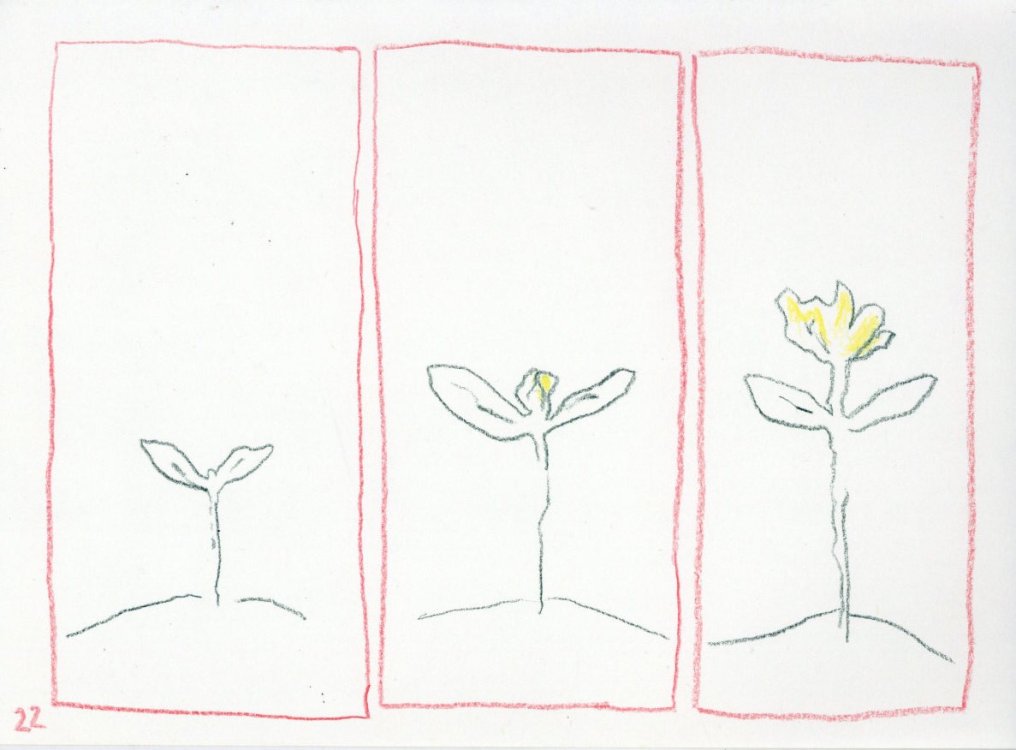  Silicium - Little forest guypage 23