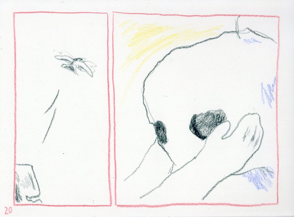  Silicium - Little forest guypage 21