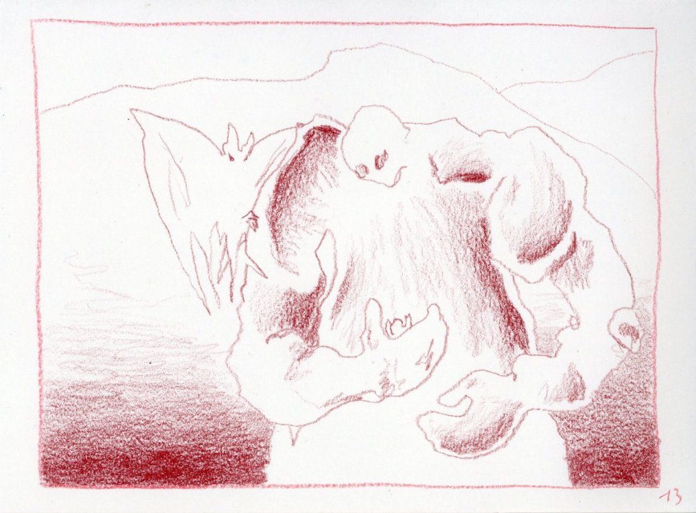  Silicium - Little forest guypage 14