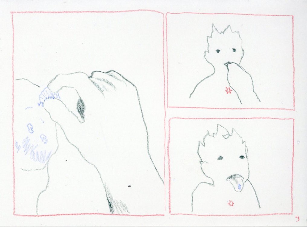  Silicium - Little forest guypage 10