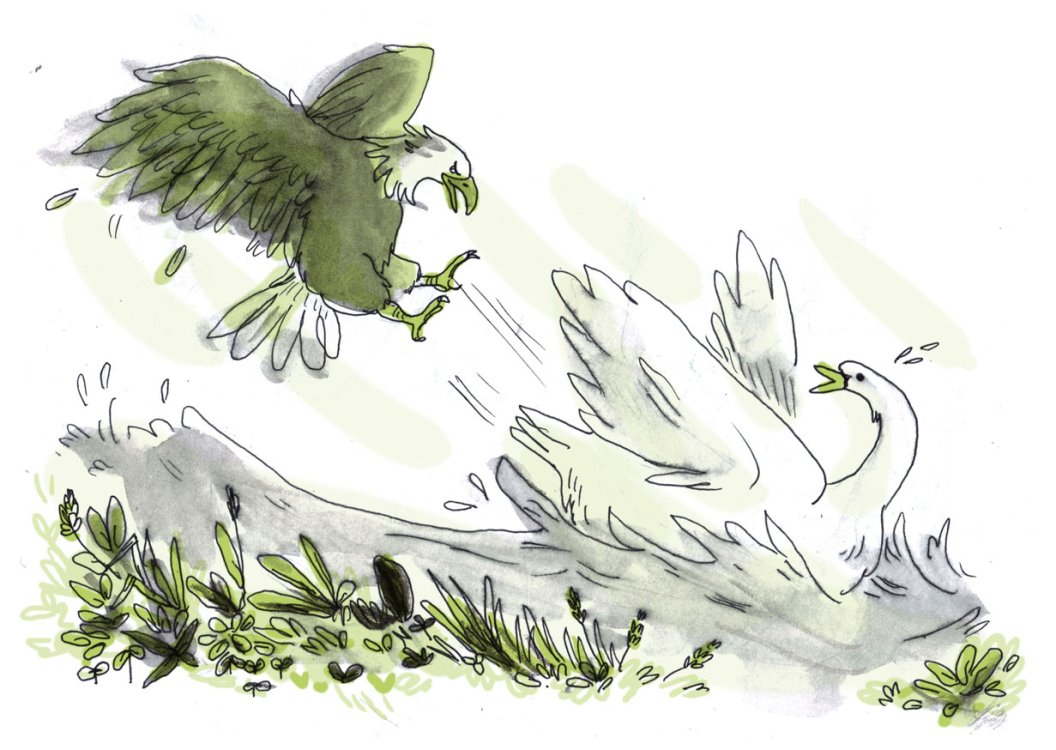 Sarah Ayadi - Leda et le Cygnepage 5