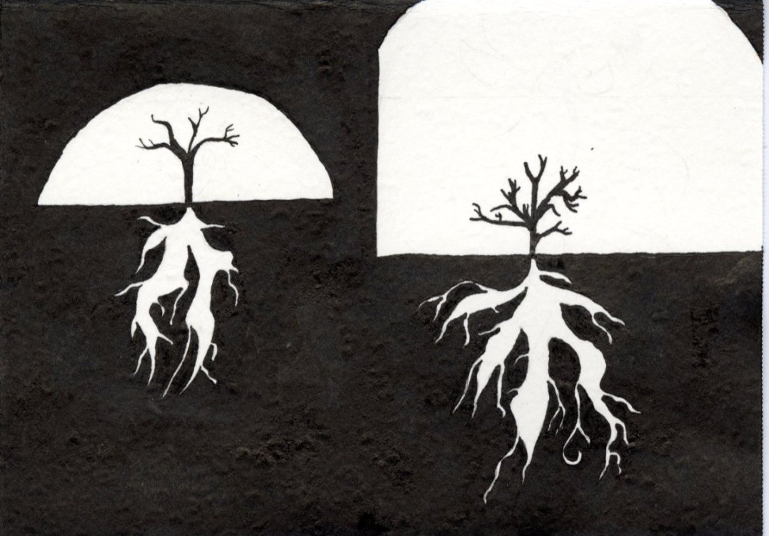  Dorothée - Petit regardpage 5