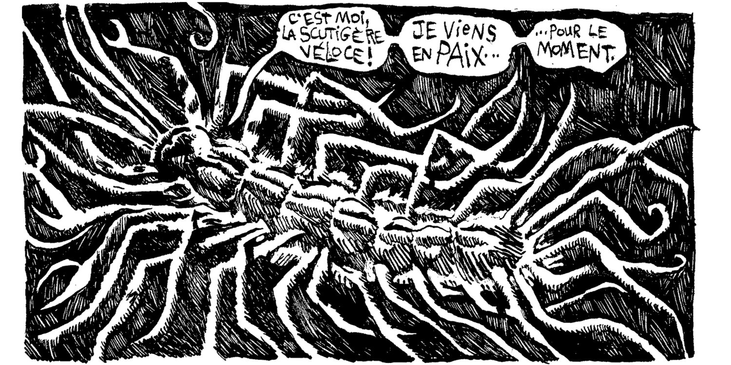 - Tom Cochien - Mon Appartement est Vivantpage 17