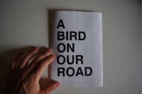 A BIRD ON OUR ROAD par Gabriel Hernandez