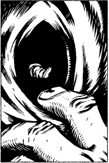 Le Bureau Provisoire - Monsieur Couteaupage 39