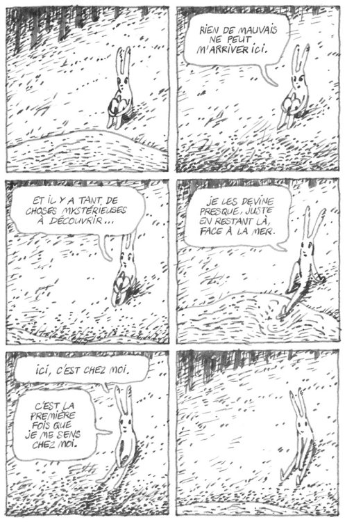 Olivia Faliph - Il y a un rhinocéros dans la chambrepage 12