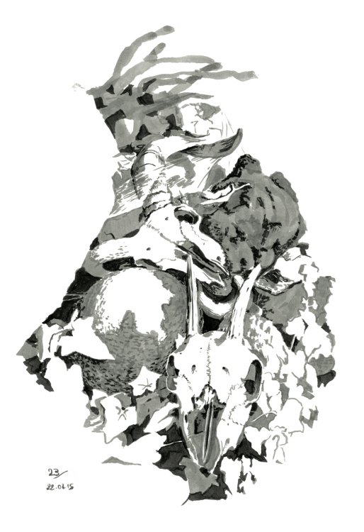 Paul B - De la topographie cévenolepage 23