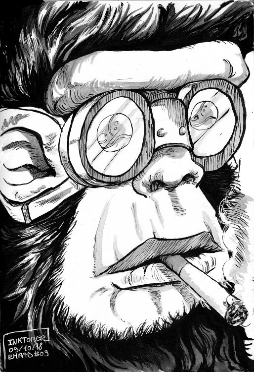  Emrad - Concrete Junglepage 9