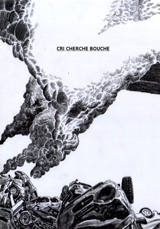 Rémi Cramet - cri cherche bouchepage 1