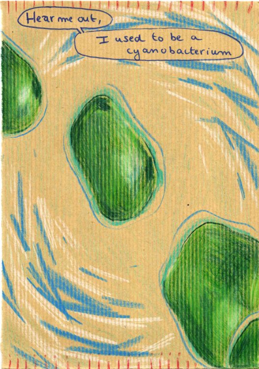  Brique de Luxe  - Worm[ ]holespage 8