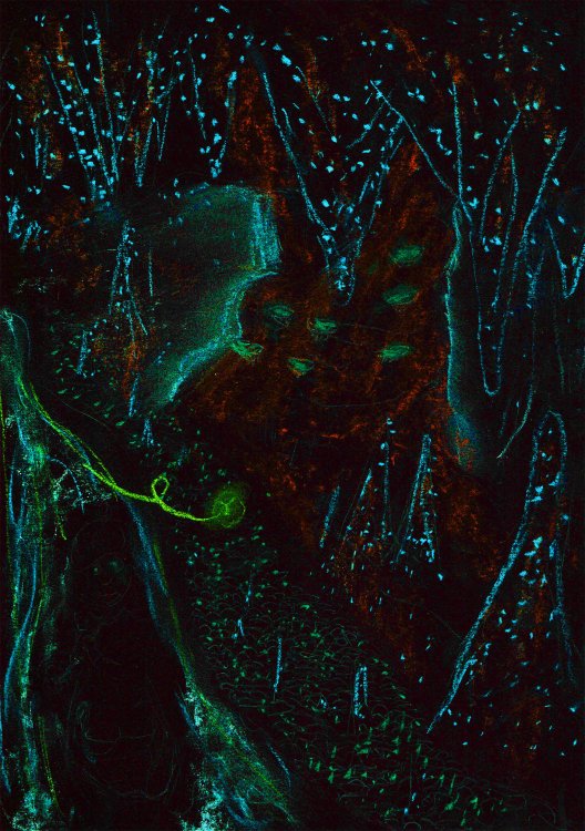 Nelson Rimeau - The Bright Long Nightpage 19