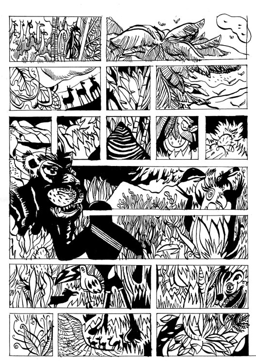 Jojo Kourtex - Trip à Rurenabaquepage 6