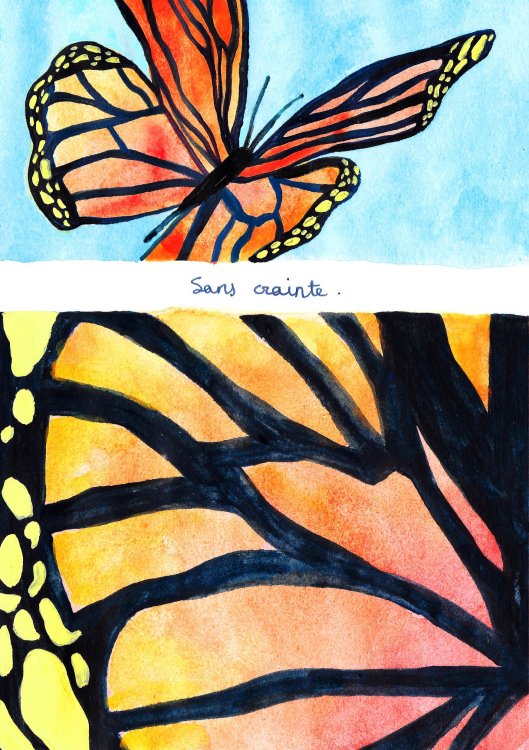  Reboucca - Ne sors pas sans lunettes Anettepage 23