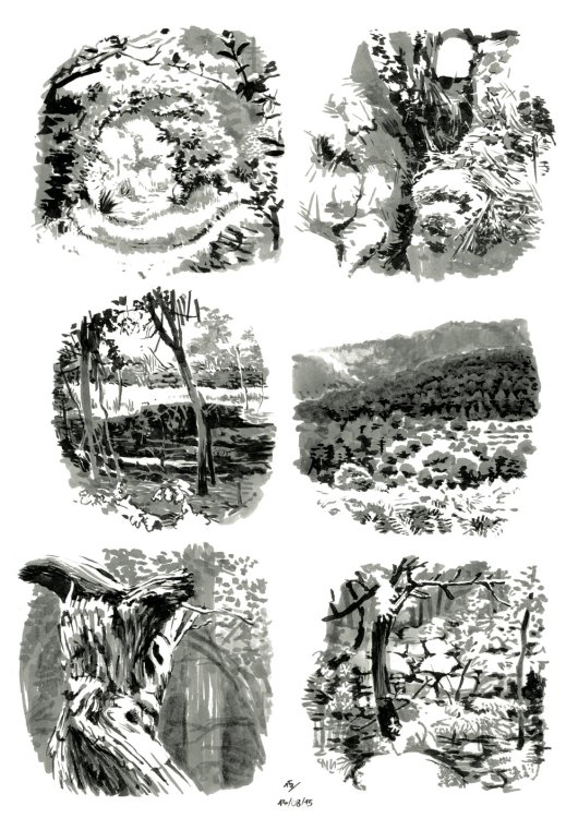 Paul B - De la topographie cévenolepage 15