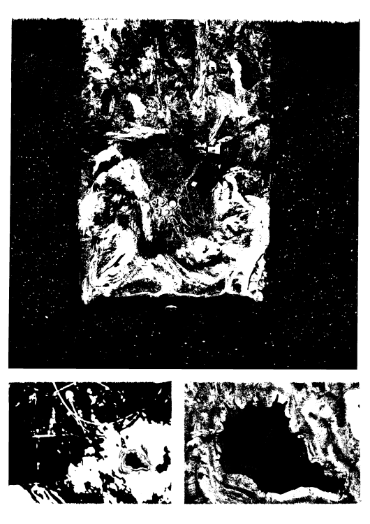  Epichloe - Piece of meat page 12