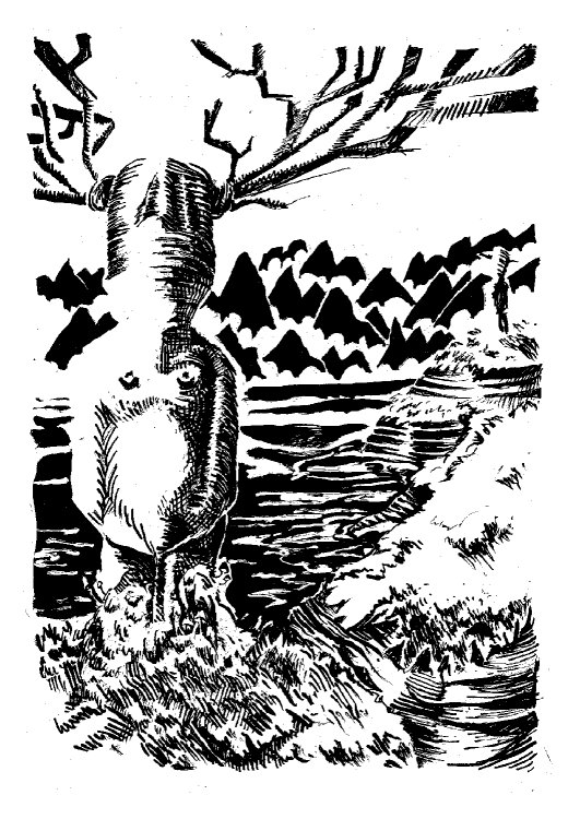 - Tom Cochien - KOLAPSVSpage 2