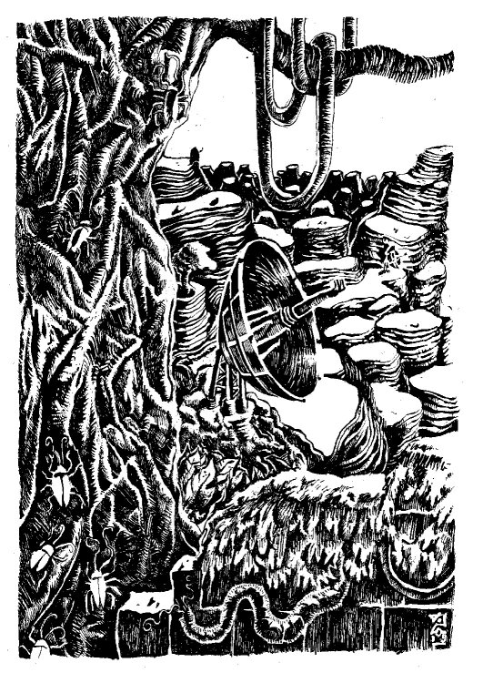 - Tom Cochien - KOLAPSVSpage 3