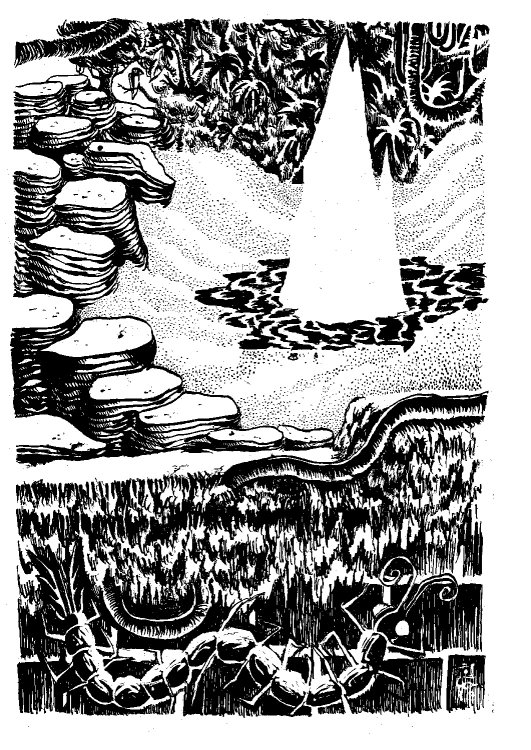 - Tom Cochien - KOLAPSVSpage 4