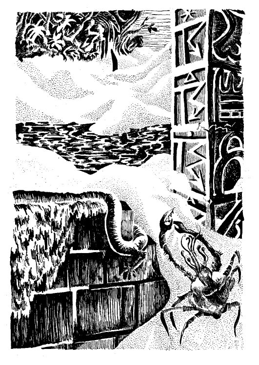 - Tom Cochien - KOLAPSVSpage 5