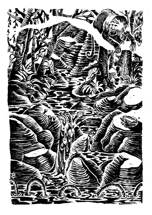 - Tom Cochien - KOLAPSVSpage 7