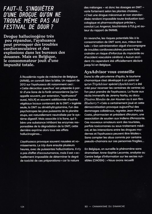 Louis Theillier - Chamanisme du dimanchepage 12