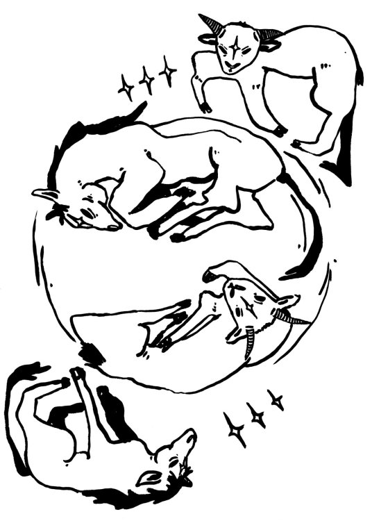 Jassi B - The Zodiac Racepage 5