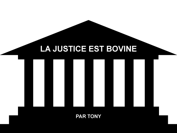  Tony - "Turbomédia" de 24 "séquences" en 24hpage 2