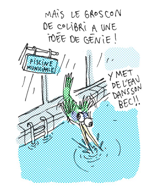  Thom - le gros con de colibripage 6