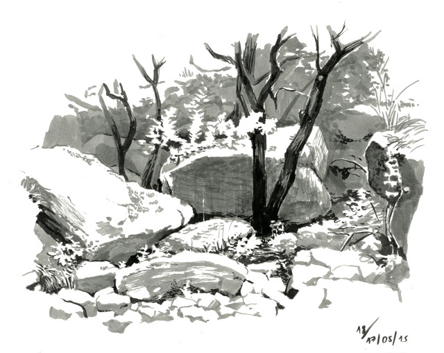 Paul B - De la topographie cévenolepage 18