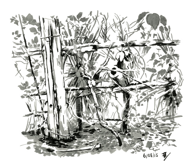 Paul B - De la topographie cévenolepage 7