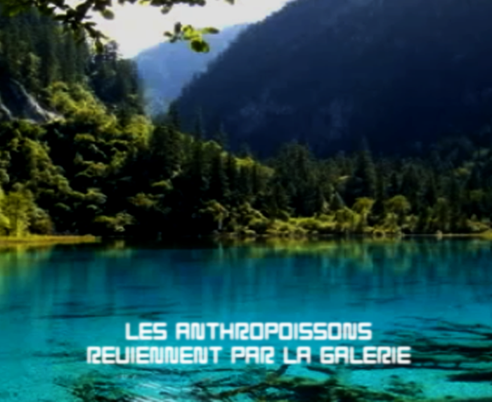    EMG - Transitions (IV)page 8