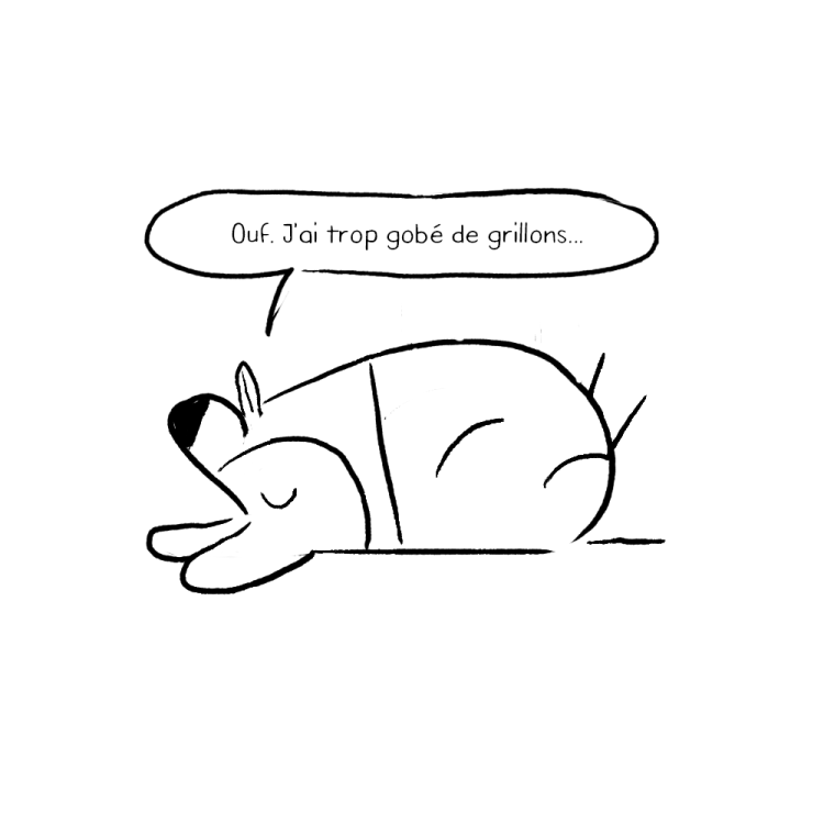 Mélanie Baillairgé - Hiver au soleil, 24h QC 2018page 11