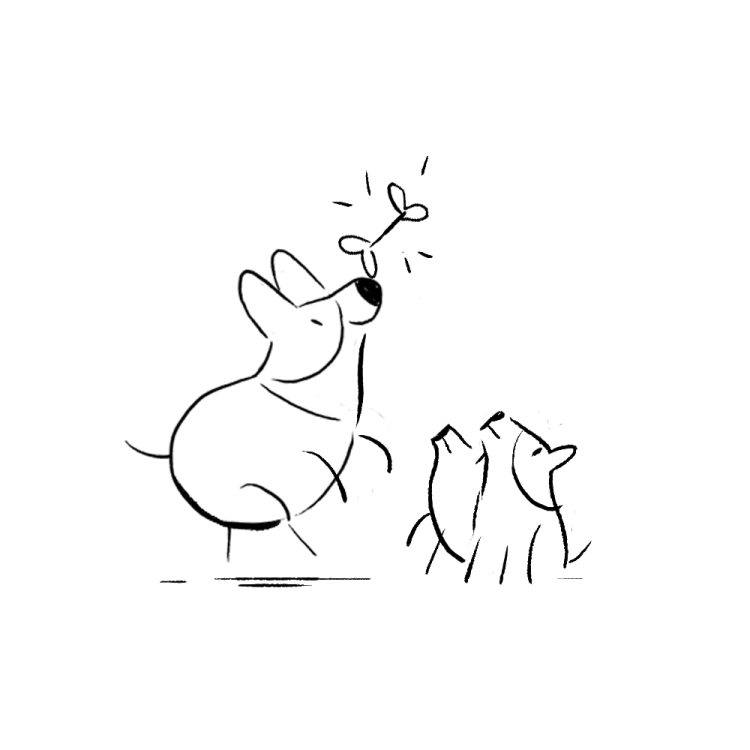 Mélanie Baillairgé - Hiver au soleil, 24h QC 2018page 62