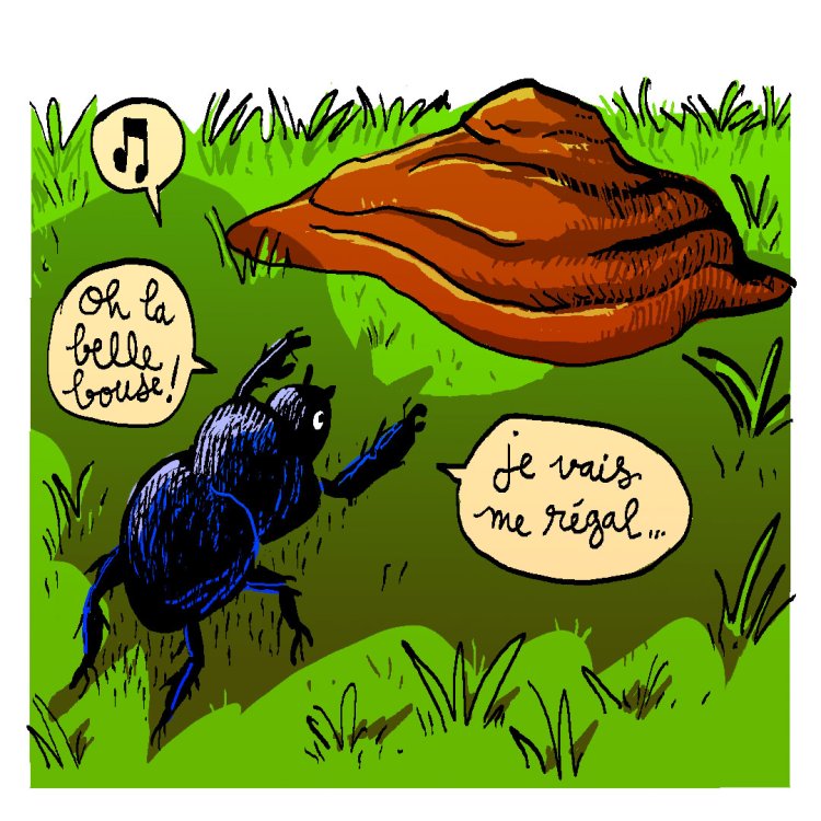 - Tom Cochien - Rhinolophe Storypage 5