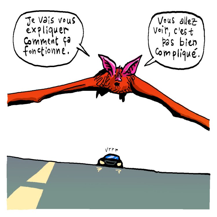 - Tom Cochien - Rhinolophe Storypage 10